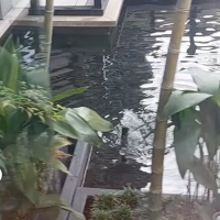 渡り廊下からみえる中庭鯉のいる池
