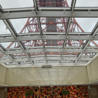 天井から見える東京タワー