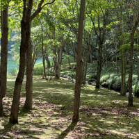 敷地内は緑豊かで鹿やリスがいました