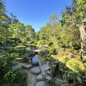 美しい庭|638581さんの桜鶴苑の写真(1665231)