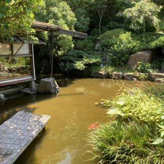 中庭には竹も植えてありました。