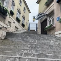 毎年記念日に一段ずつ上がって写真を撮るのも記念に。