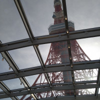 チャペルの天井から見える東京タワー