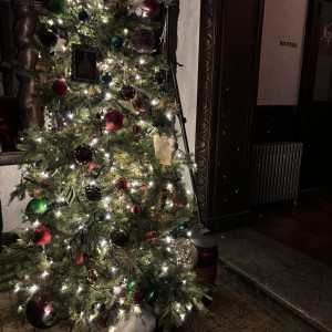 ロビーのクリスマスツリー|639262さんの赤坂プリンス クラシックハウスの写真(1993765)