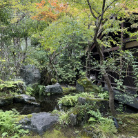 お庭が綺麗でした。