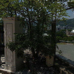 ガーデンから見た披露宴会場|639679さんのホテルメルパルク広島の写真(1692540)