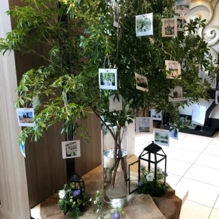 木に写真が飾ってあって素敵でした！