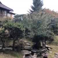 披露宴会場から見える庭園