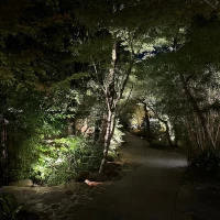 夜の庭