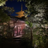 夜の庭
