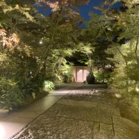 夜の庭