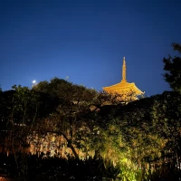 夜の庭