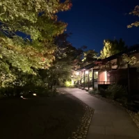 夜の庭