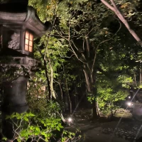 夜の庭