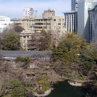 披露宴会場から見える風景