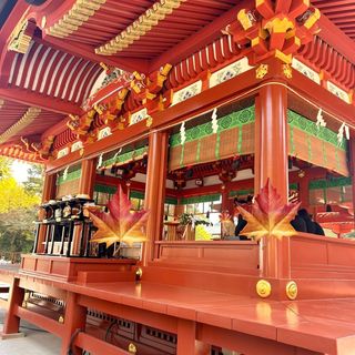 鶴岡八幡宮です。一般の参拝者が写真を撮っておりました。