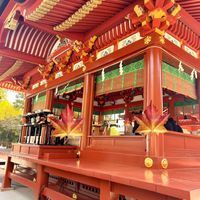 鶴岡八幡宮です。一般の参拝者が写真を撮っておりました。