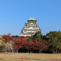 大阪城が見えます