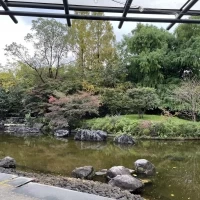 池