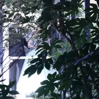 中庭には通路があり、そこから入場もできます