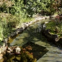 中庭その1