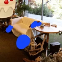 メイン席はソファーも選べます