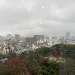 披露宴会場から見える景色