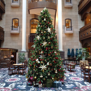 今の時期だと立派のクリスマスツリーがある。|643714さんのホテル東日本宇都宮の写真(1661068)