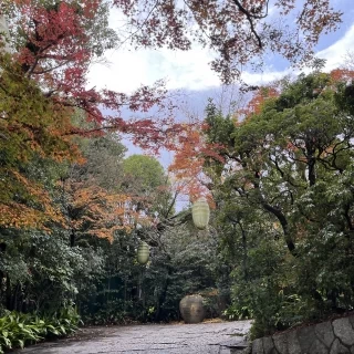 入り口を入って式場に向かうまでの景色で四季を感じられます。