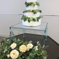 ファーストバイト用ケーキ