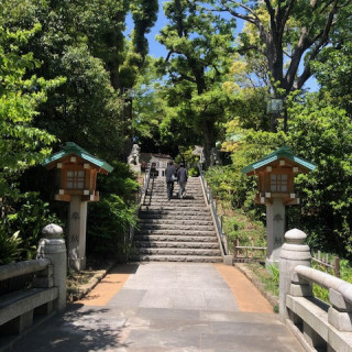 橋から歩いてこの階段も参進して神社に入っていきます。