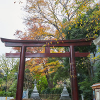 東郷神社の入り口。