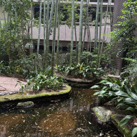 披露宴会場から池や坪庭が見える