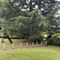 右側から入場