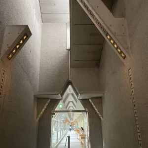 美術館通路
撮影できるときもあり|644697さんの世田谷美術館レストラン ル・ジャルダンの写真(1670977)