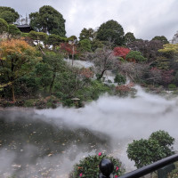 庭園です。写真は人工の雲海が出ている場面です。