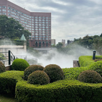 雲海も絶景でした