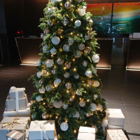 ロビー
大きなクリスマスツリーがゲストを迎えてくれました