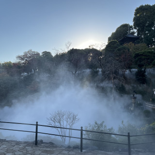 雲海と日本庭園