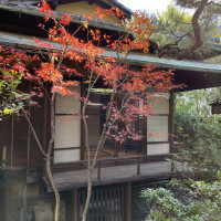 お庭から見た川端康成が宿泊した部屋「古都」。