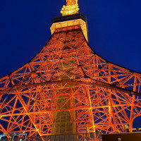 夜の東京タワーの景色