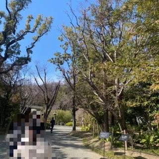 シャトルバス乗り場～披露宴会場までの道（施設内）