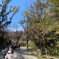 シャトルバス乗り場～披露宴会場までの道（施設内）