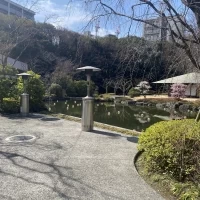 庭園、池