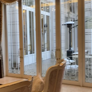 庭が見える