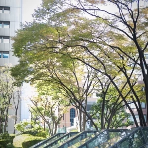 外観|645554さんのmitte(ミッテ)の写真(1680325)
