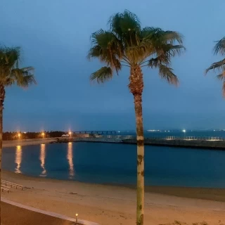 披露宴会場からの景色