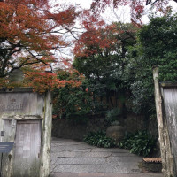 紅葉シーズンでした