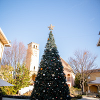 巨大クリスマスツリーのある庭