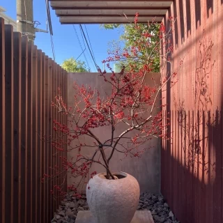 エントランスの大きな生花。